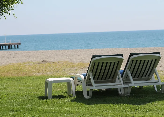 ラブランダ アランツール 5*