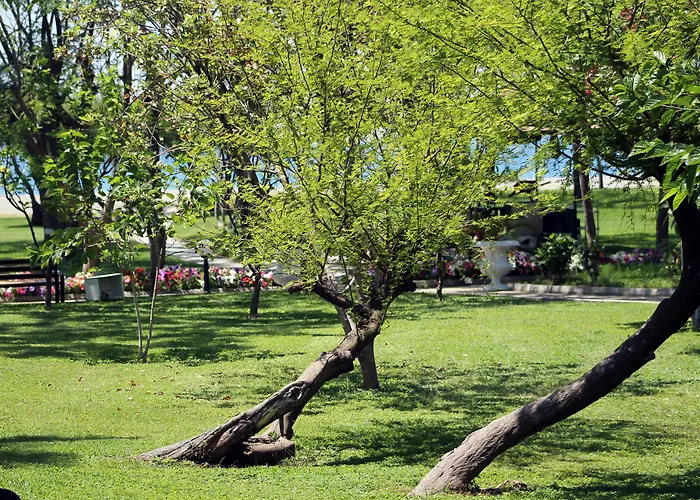 ラブランダ アランツール